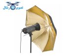 چتر طلایی